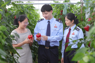 稅務(wù)助農(nóng)辦實(shí)事 特色產(chǎn)業(yè)新年啟新程